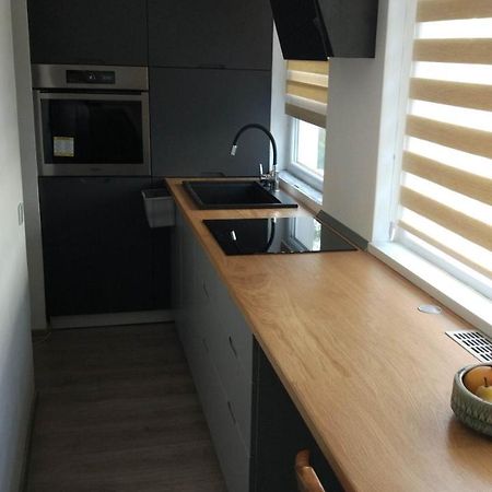 Ferienwohnung Popasu Din Oras Baia Mare Exterior foto