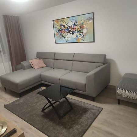 Ferienwohnung Popasu Din Oras Baia Mare Exterior foto
