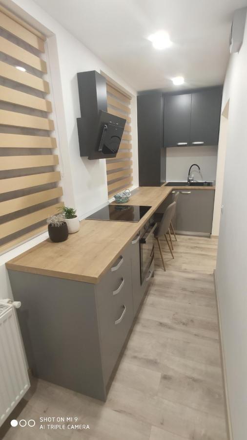 Ferienwohnung Popasu Din Oras Baia Mare Exterior foto