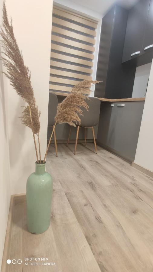 Ferienwohnung Popasu Din Oras Baia Mare Exterior foto