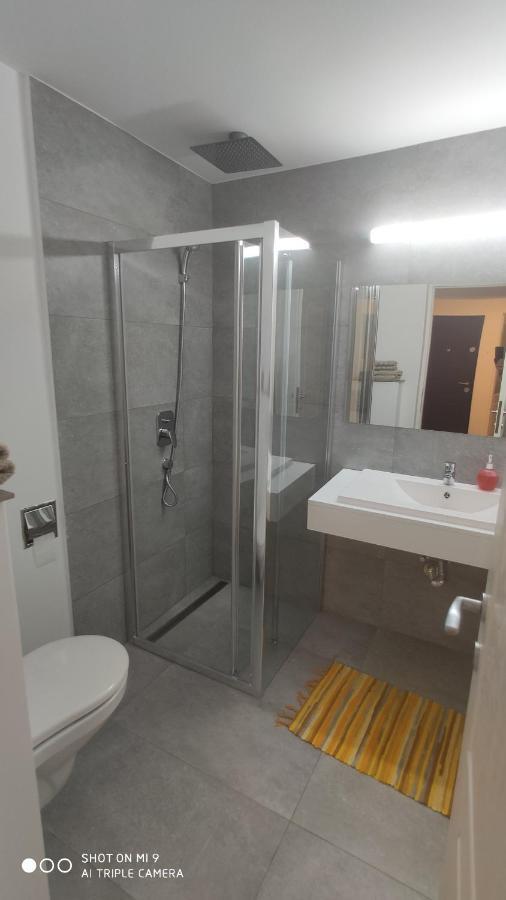 Ferienwohnung Popasu Din Oras Baia Mare Exterior foto