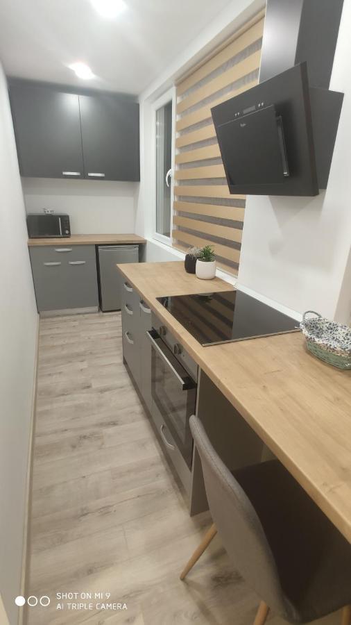 Ferienwohnung Popasu Din Oras Baia Mare Exterior foto