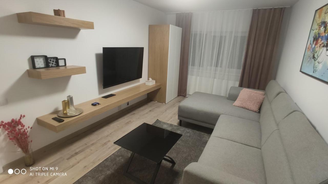 Ferienwohnung Popasu Din Oras Baia Mare Exterior foto