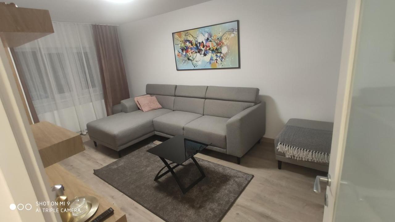 Ferienwohnung Popasu Din Oras Baia Mare Exterior foto